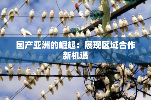 国产亚洲的崛起：展现区域合作新机遇