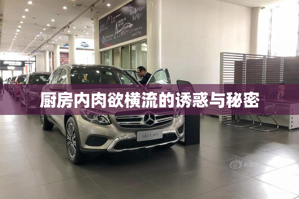 厨房内肉欲横流的诱惑与秘密