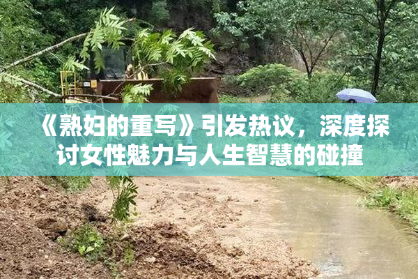《熟妇的重写》引发热议，深度探讨女性魅力与人生智慧的碰撞
