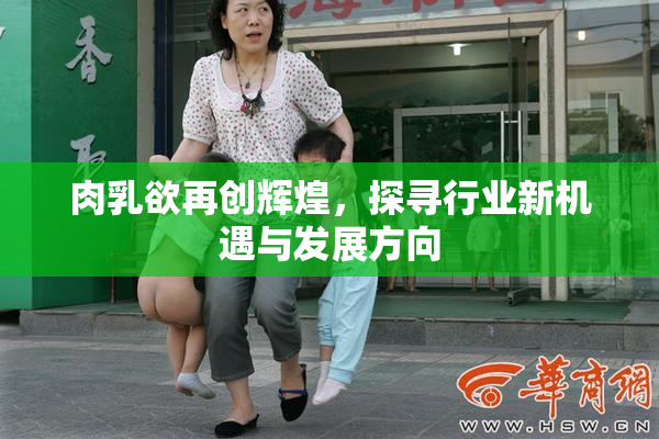 肉乳欲再创辉煌，探寻行业新机遇与发展方向