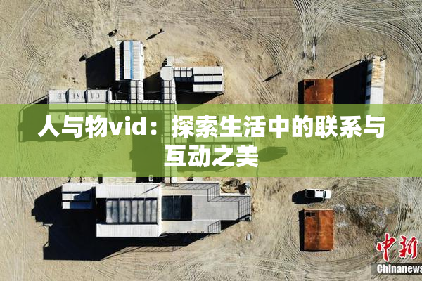 人与物vid：探索生活中的联系与互动之美