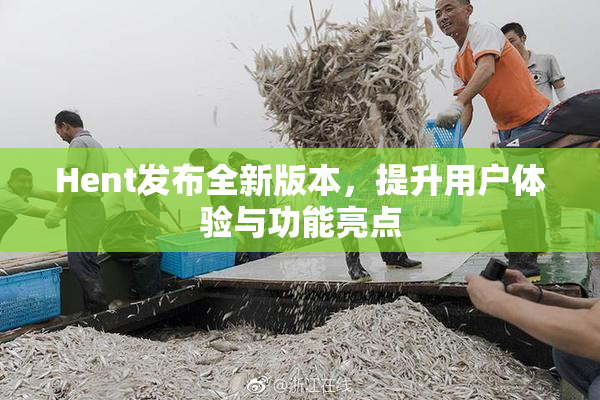 Hent发布全新版本，提升用户体验与功能亮点