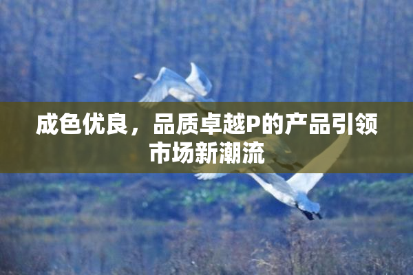 成色优良，品质卓越P的产品引领市场新潮流