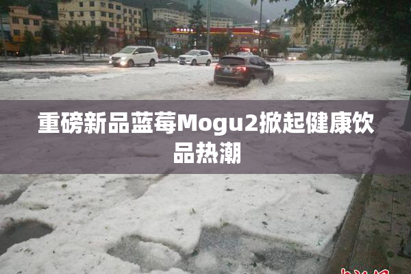 重磅新品蓝莓Mogu2掀起健康饮品热潮