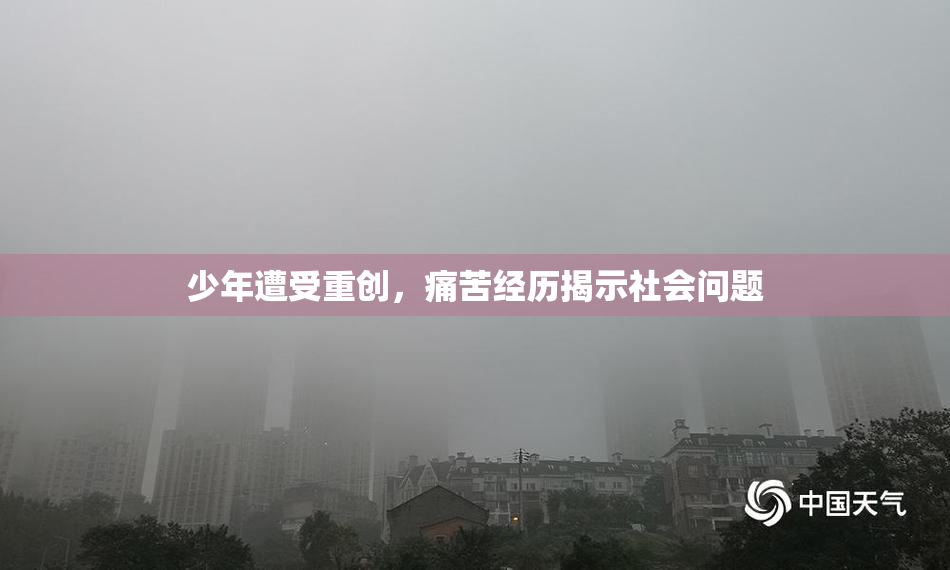 少年遭受重创，痛苦经历揭示社会问题