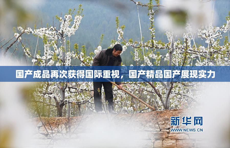 国产成品再次获得国际重视，国产精品国产展现实力
