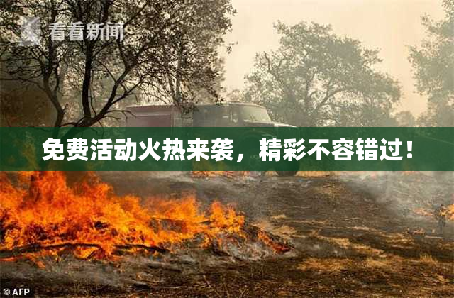 免费活动火热来袭，精彩不容错过！