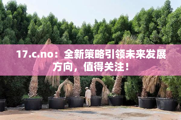 17.c.no：全新策略引领未来发展方向，值得关注！