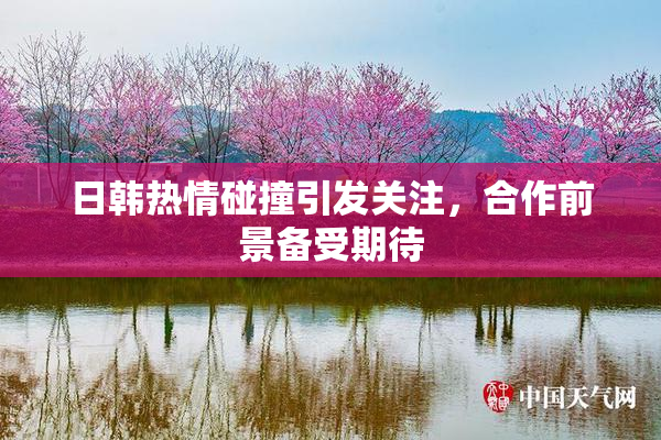 日韩热情碰撞引发关注，合作前景备受期待