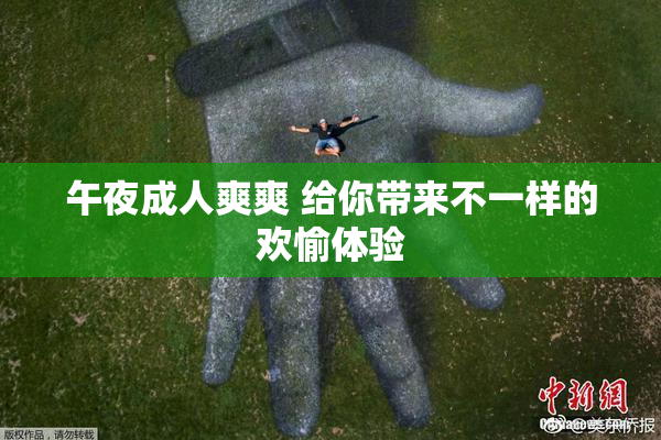 午夜成人爽爽 给你带来不一样的欢愉体验