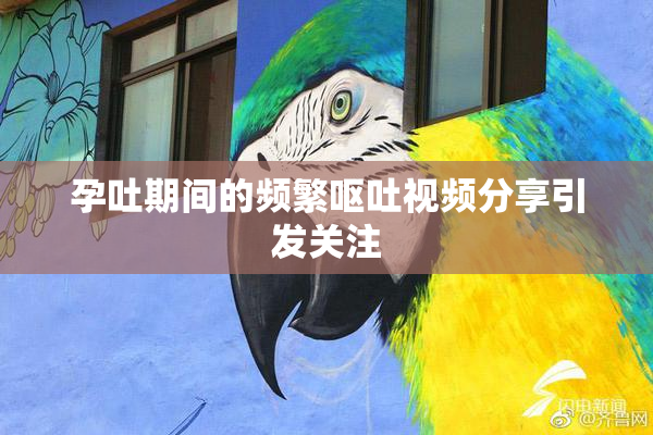 孕吐期间的频繁呕吐视频分享引发关注
