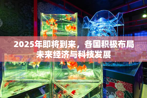 2025年即将到来，各国积极布局未来经济与科技发展