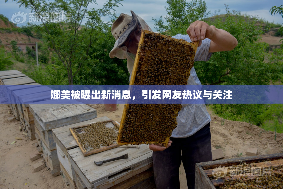 娜美被曝出新消息，引发网友热议与关注