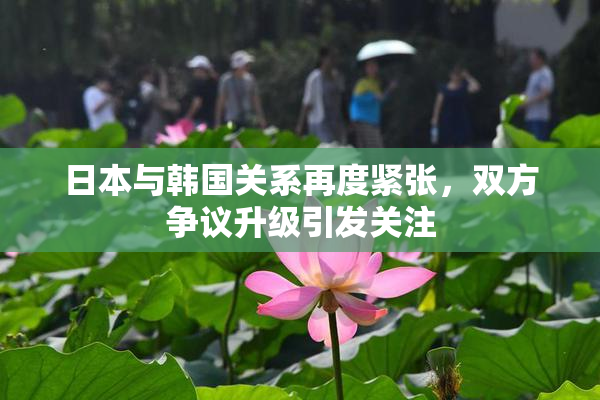 日本与韩国关系再度紧张，双方争议升级引发关注
