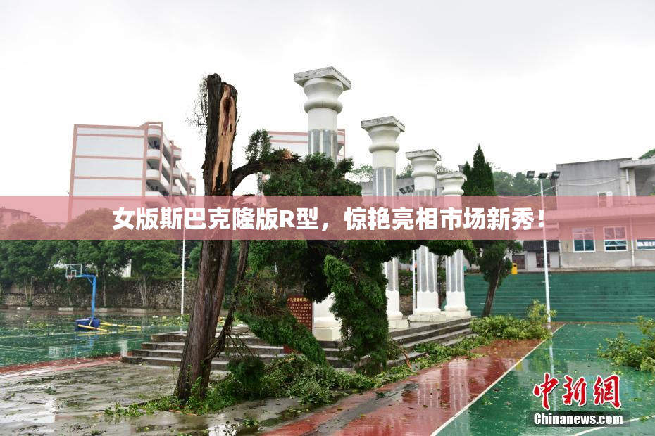 女版斯巴克隆版R型，惊艳亮相市场新秀！