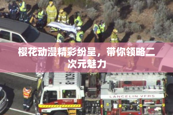 樱花动漫精彩纷呈，带你领略二次元魅力