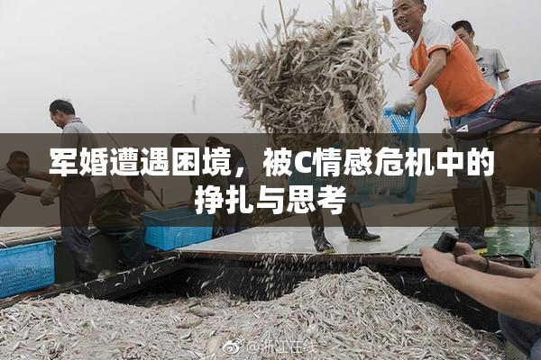 军婚遭遇困境，被C情感危机中的挣扎与思考