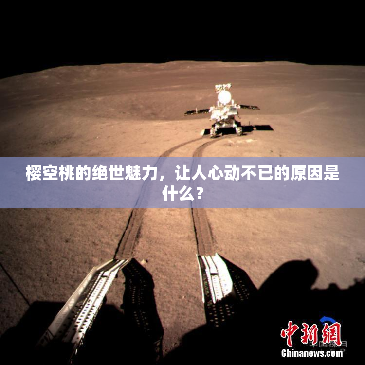 樱空桃的绝世魅力，让人心动不已的原因是什么？
