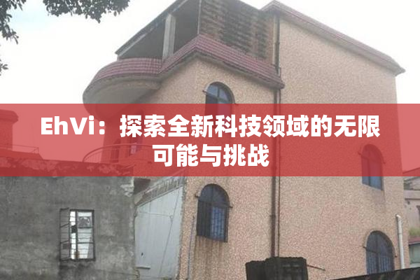 EhVi：探索全新科技领域的无限可能与挑战