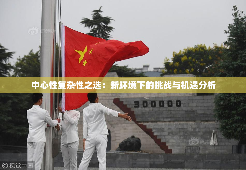 中心性复杂性之选：新环境下的挑战与机遇分析