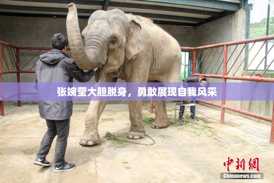 张婉莹大胆脱身，勇敢展现自我风采