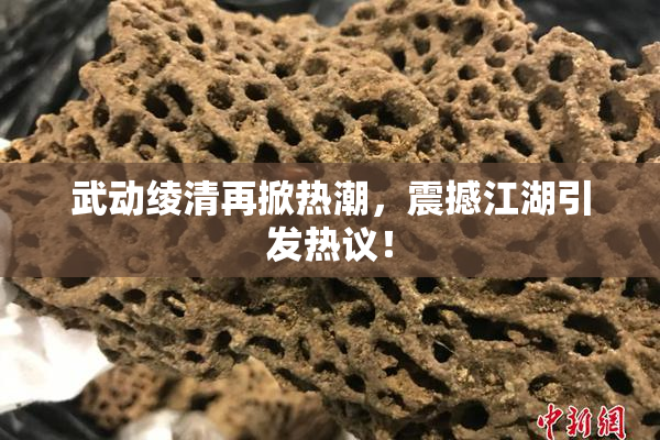 武动绫清再掀热潮，震撼江湖引发热议！