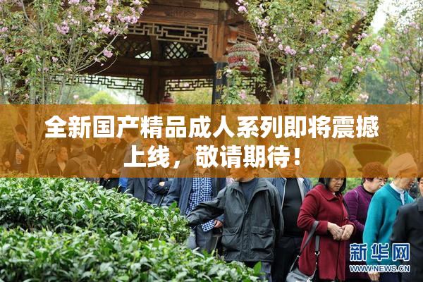 全新国产精品成人系列即将震撼上线，敬请期待！