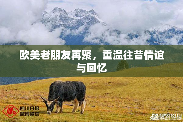 欧美老朋友再聚，重温往昔情谊与回忆