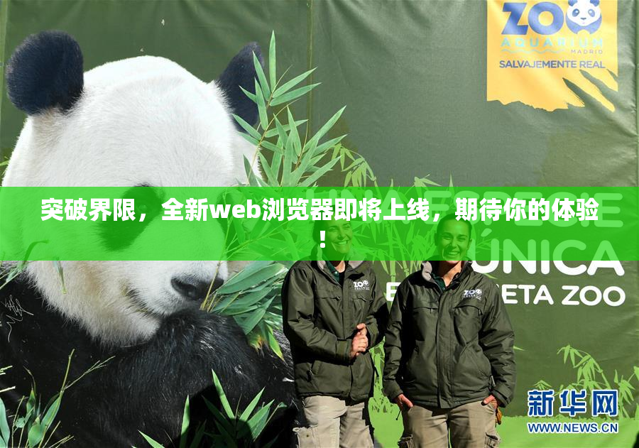 突破界限，全新web浏览器即将上线，期待你的体验！