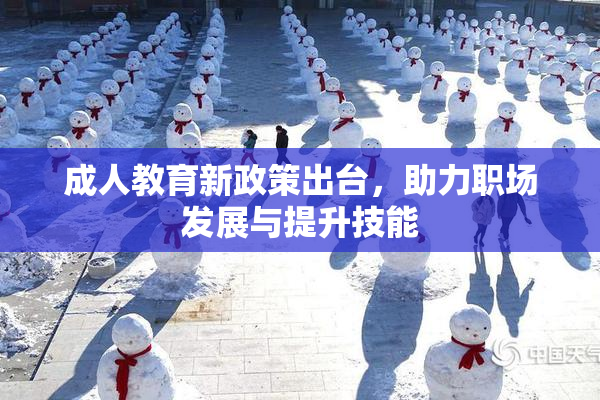 成人教育新政策出台，助力职场发展与提升技能