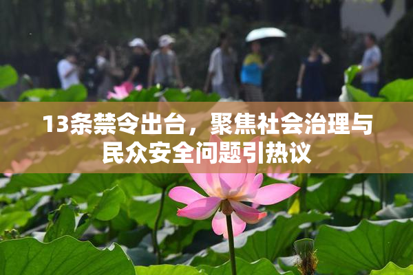 13条禁令出台，聚焦社会治理与民众安全问题引热议