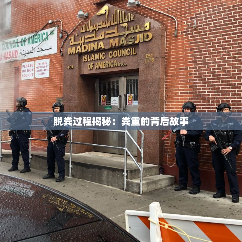 脱粪过程揭秘：粪重的背后故事