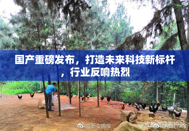 国产重磅发布，打造未来科技新标杆，行业反响热烈