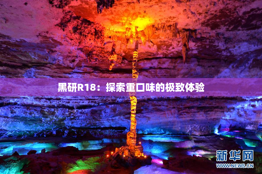黑研R18：探索重口味的极致体验