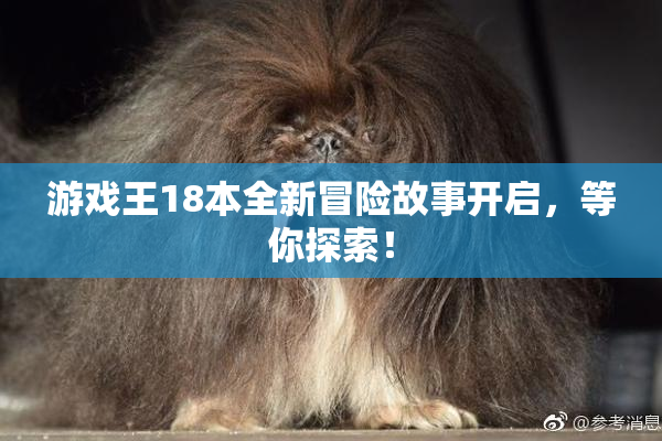 游戏王18本全新冒险故事开启，等你探索！