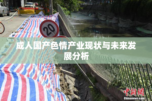 成人国产色情产业现状与未来发展分析