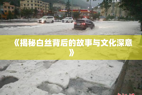 《揭秘白丝背后的故事与文化深意》