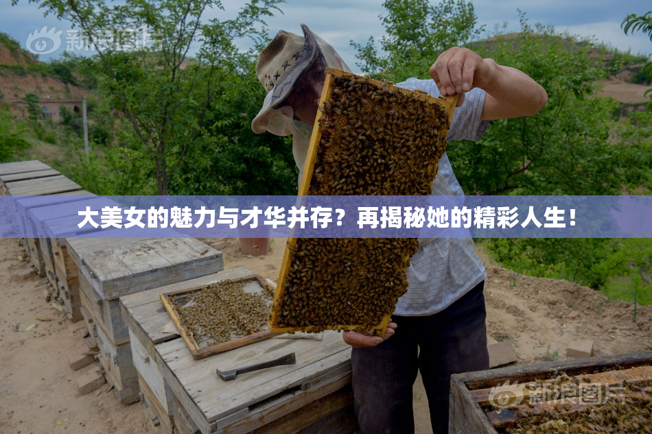 大美女的魅力与才华并存？再揭秘她的精彩人生！