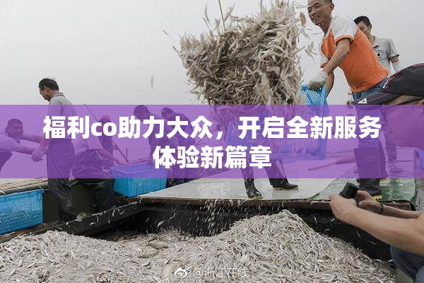 福利co助力大众，开启全新服务体验新篇章