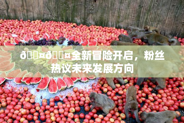 🐤🐤全新冒险开启，粉丝热议未来发展方向