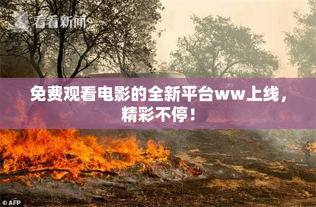 免费观看电影的全新平台ww上线，精彩不停！