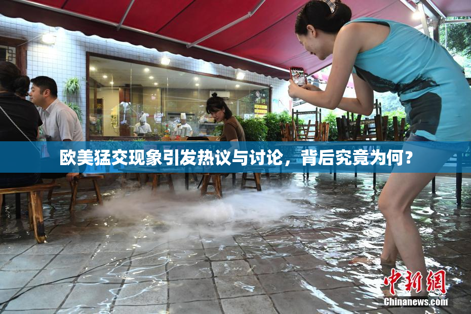 欧美猛交现象引发热议与讨论，背后究竟为何？