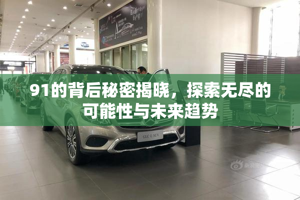 91的背后秘密揭晓，探索无尽的可能性与未来趋势