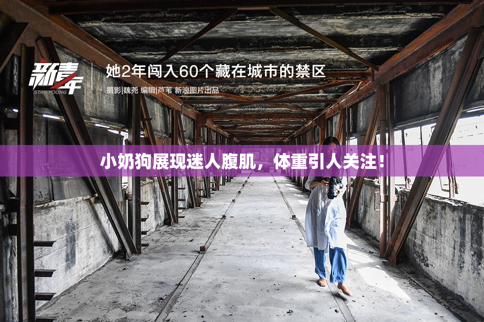 小奶狗展现迷人腹肌，体重引人关注！