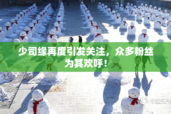 少司缘再度引发关注，众多粉丝为其欢呼！