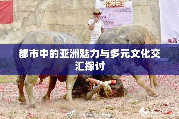 都市中的亚洲魅力与多元文化交汇探讨