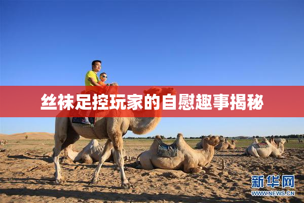 丝袜足控玩家的自慰趣事揭秘