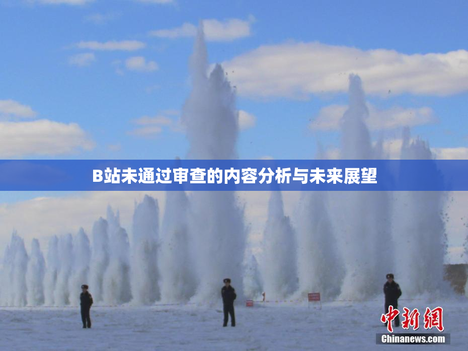 B站未通过审查的内容分析与未来展望