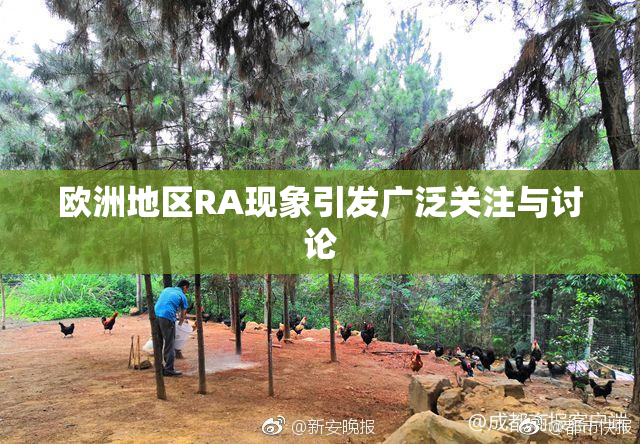 欧洲地区RA现象引发广泛关注与讨论