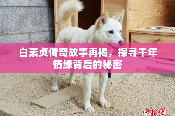 白素贞传奇故事再揭，探寻千年情缘背后的秘密